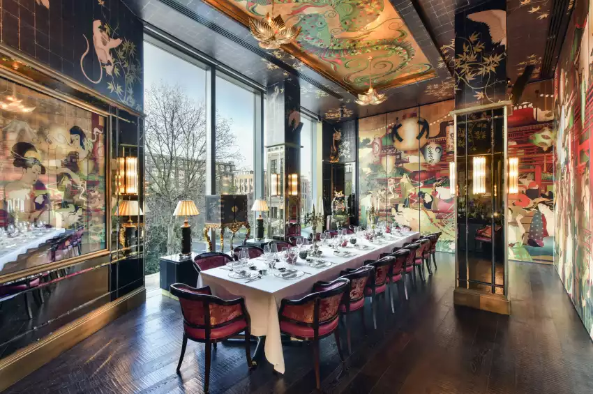 The Ivy Asia  The Ivy Asia