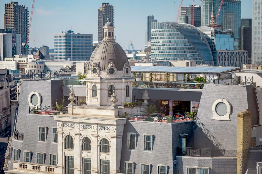 Wagtail - Rooftop Bar & Restaurant 