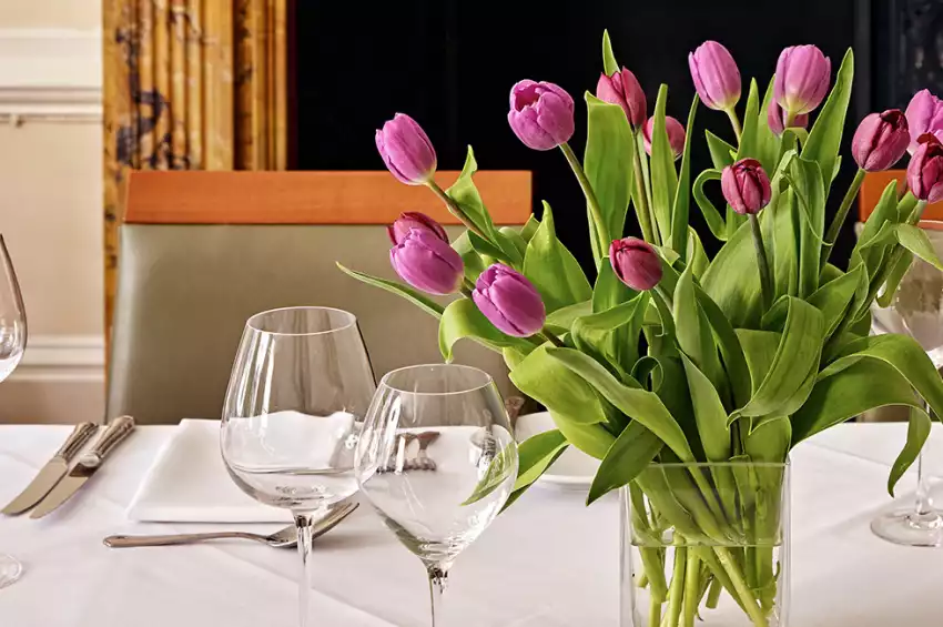 University Women's Club 