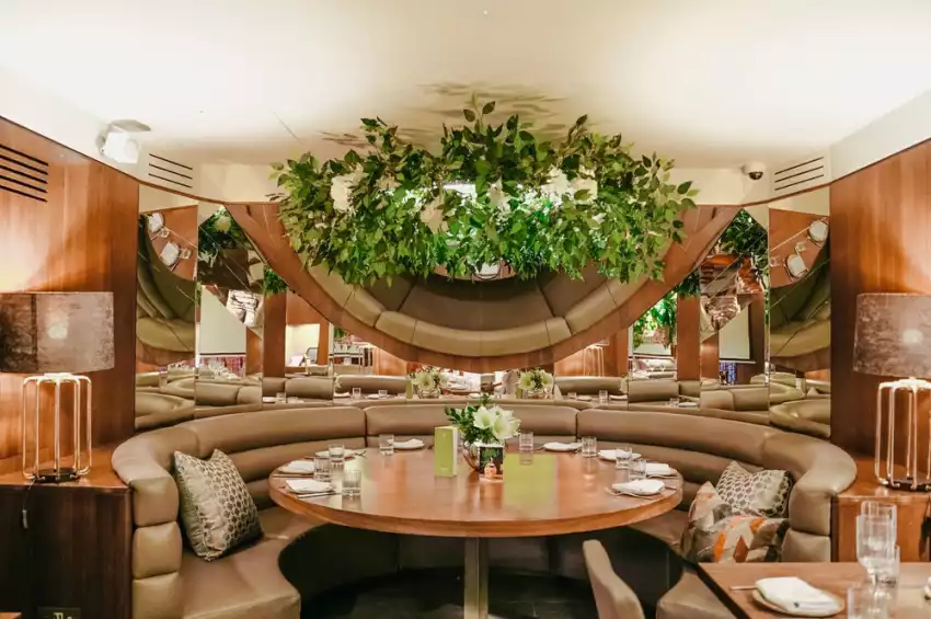 Layalina Knightsbridge  Layalina Knightsbridge