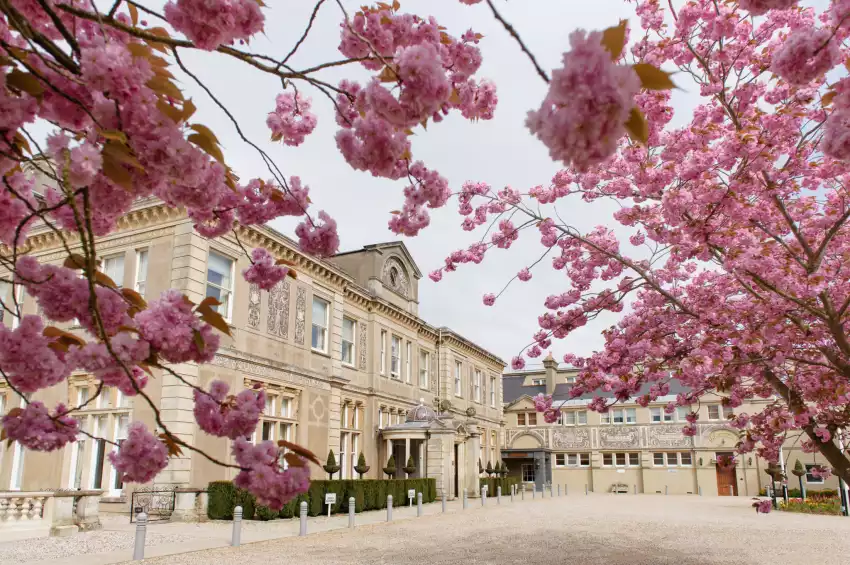 Down Hall Hotel, Spa & Estate