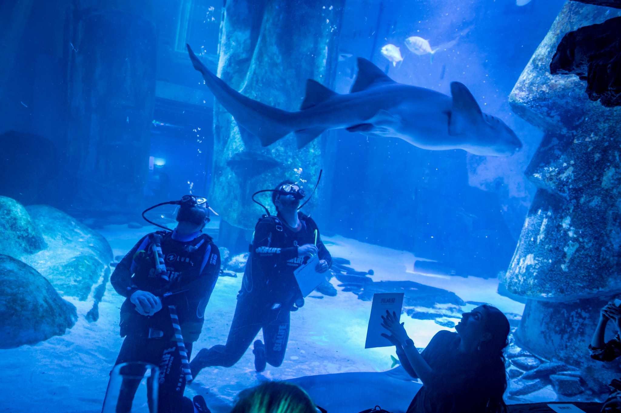 Hire SEALIFE London Aquarium, flexible event space - Venue Search London