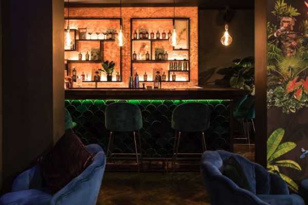 the wild monkey bar