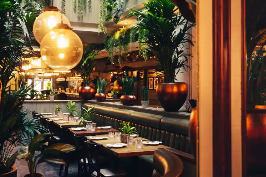 Mr. White's Leicester Square