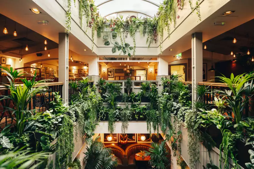 Mr. White's Leicester Square