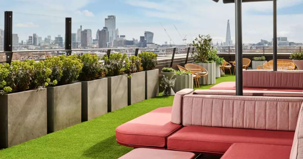 The Rooftop