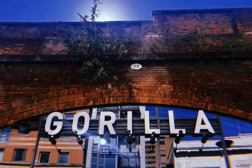 Gorilla Manchester