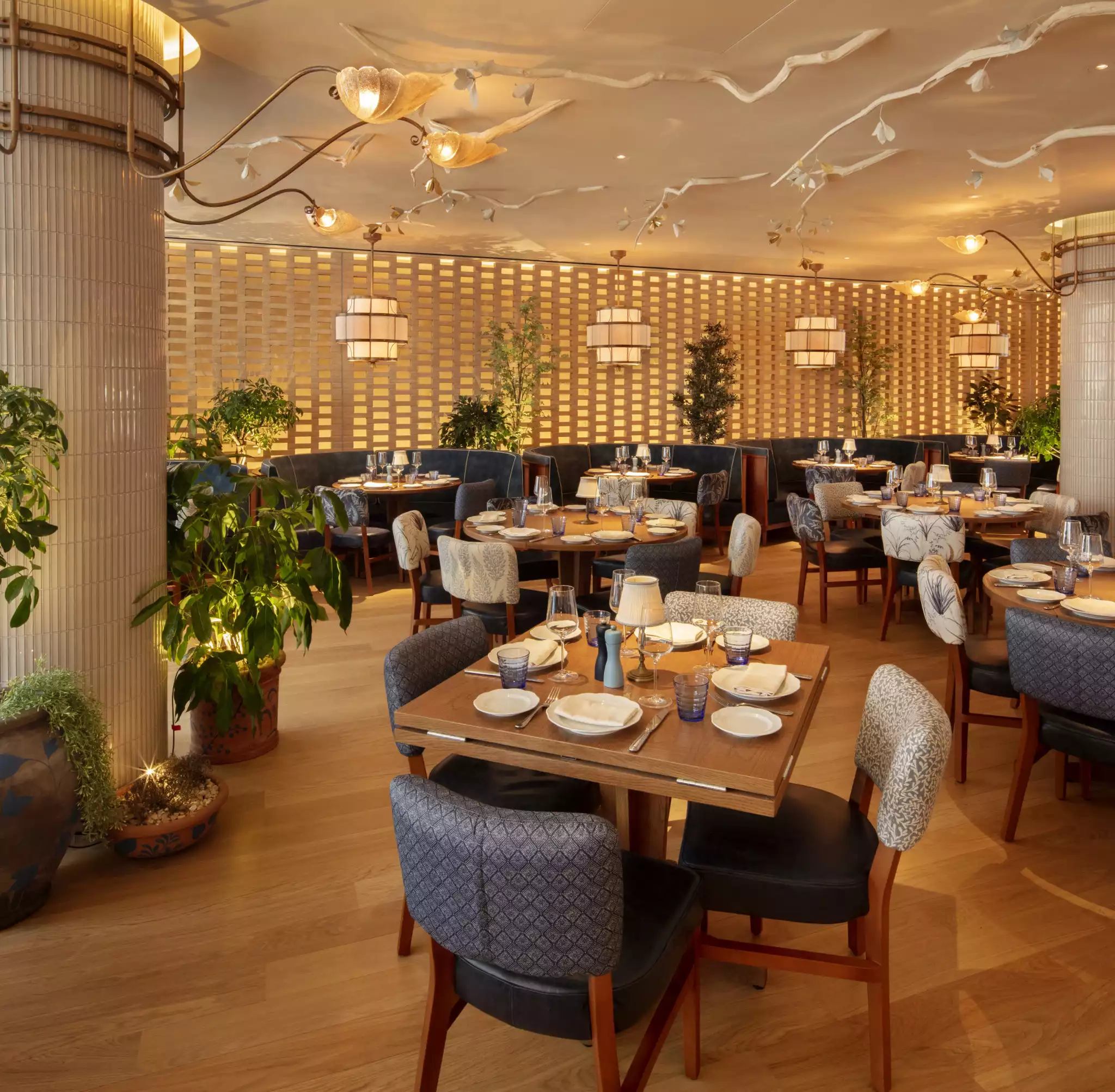  LAVO Sopra - Ground Floor