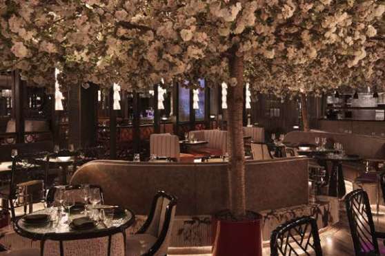 TATTU London