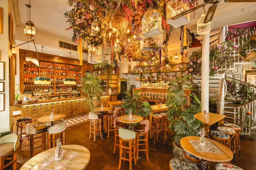 Mr Fogg's House of Botanicals Mr Fogg's House of Botanicals