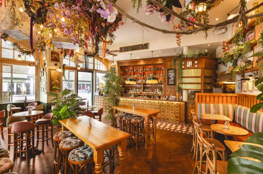 Mr Fogg's House of Botanicals Mr Fogg's House of Botanicals