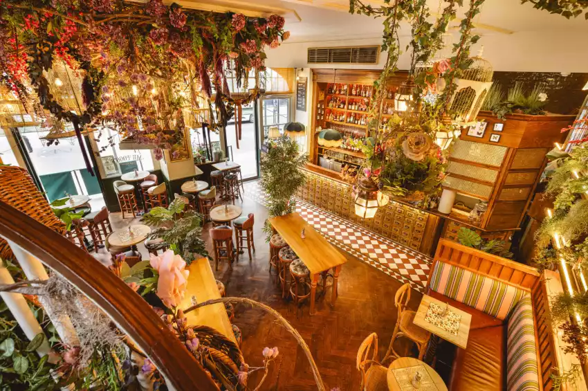 Mr Fogg's House of Botanicals Mr Fogg's House of Botanicals