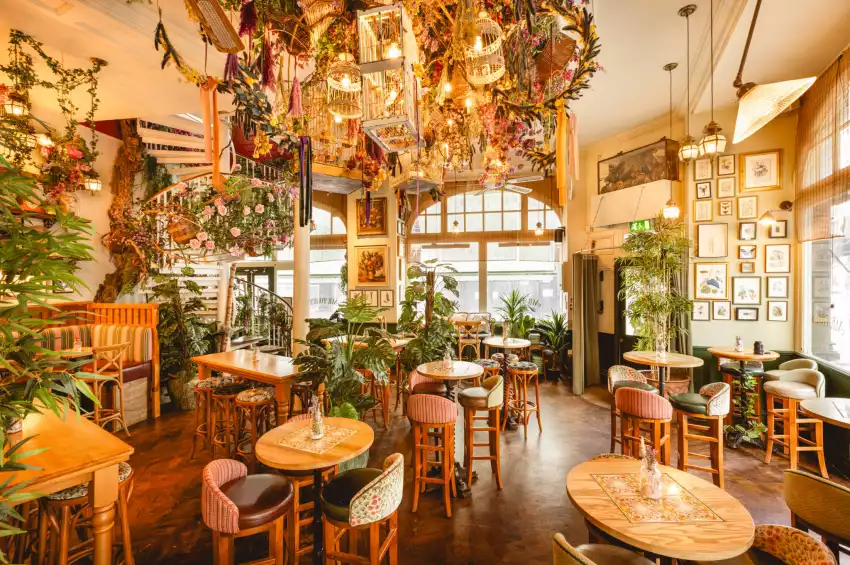 Mr Fogg's House of Botanicals Mr Fogg's House of Botanicals