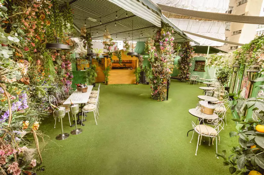 Mr Fogg's Secret Garden