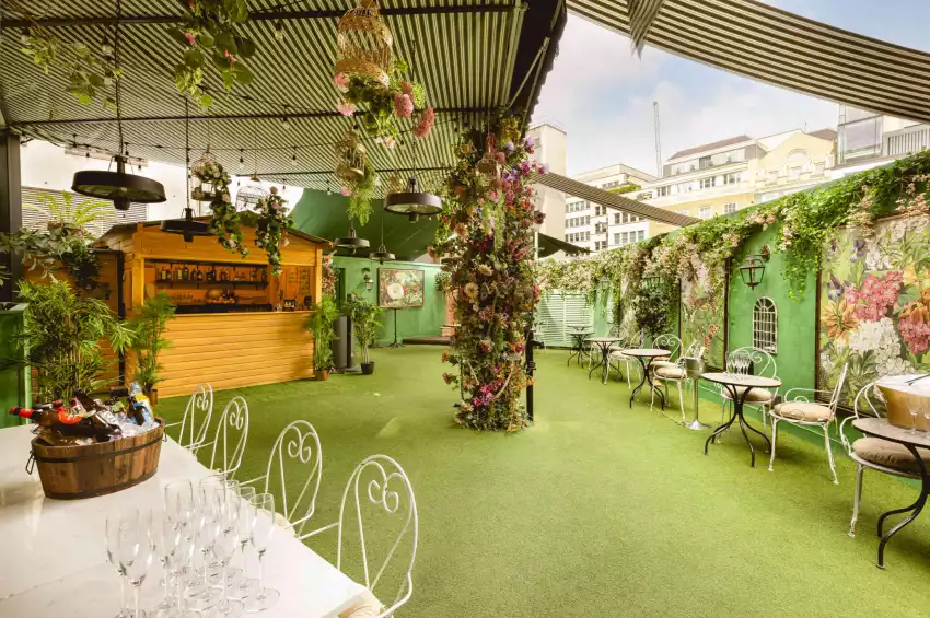 Mr Fogg's Secret Garden