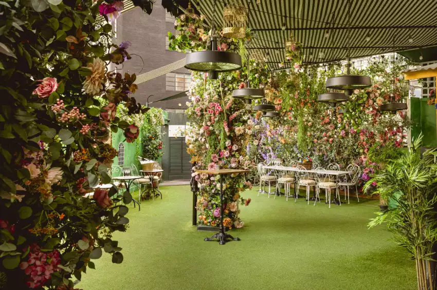 Mr Fogg's Secret Garden