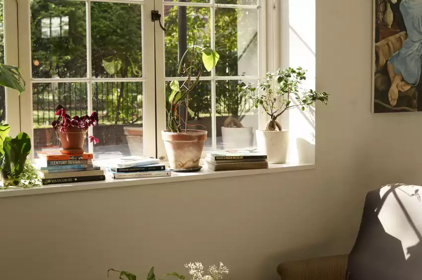 Bourne & Hollingsworth Buildings