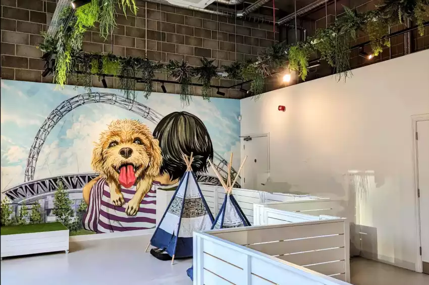 The Cuddle Club – Wembley