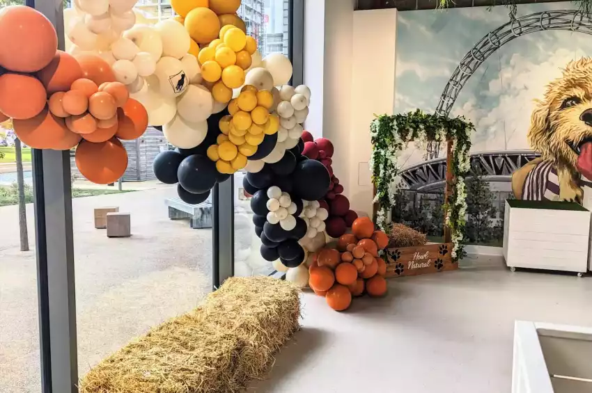 The Cuddle Club – Wembley