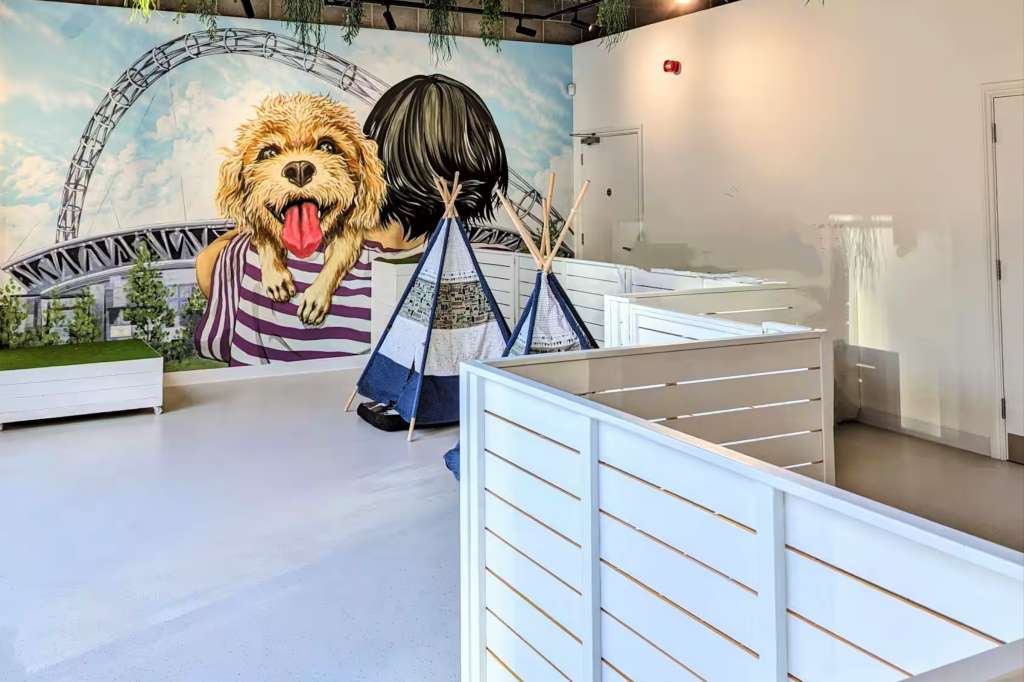 The Cuddle Club – Wembley