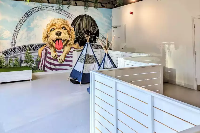 The Cuddle Club – Wembley