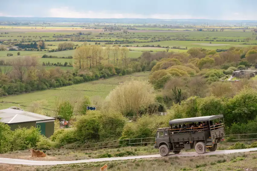 Port Lympne Hotel and Reserve