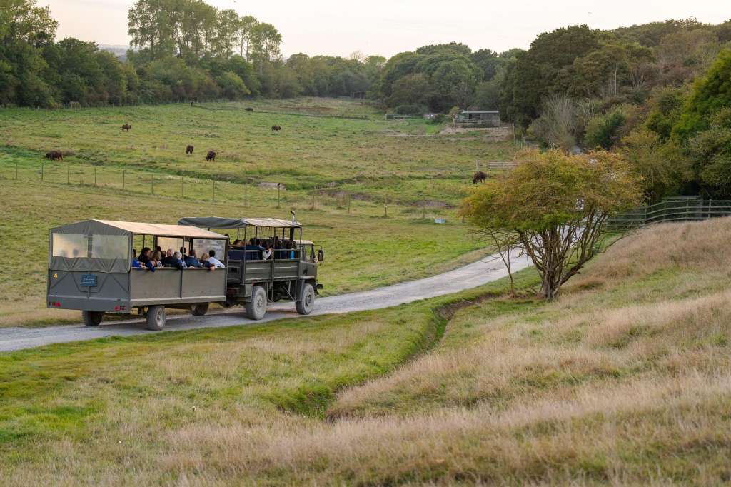 Port Lympne Hotel and Reserve