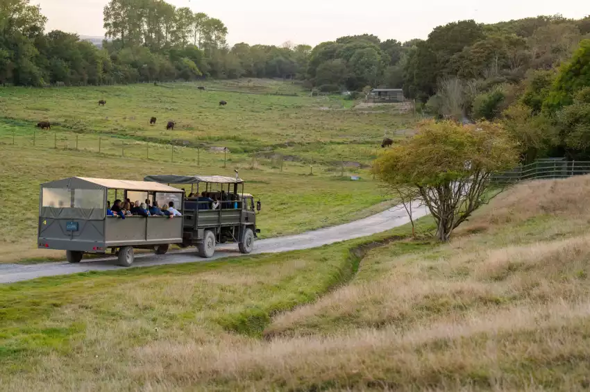 Port Lympne Hotel and Reserve