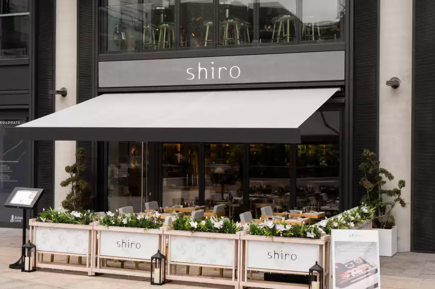 Shiro Shiro