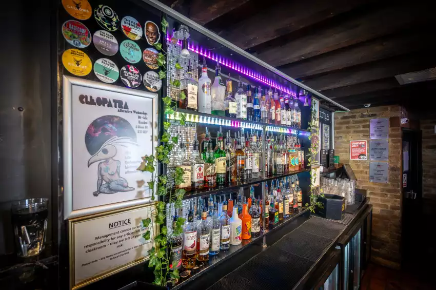 Bacchus Late Bar and Venue