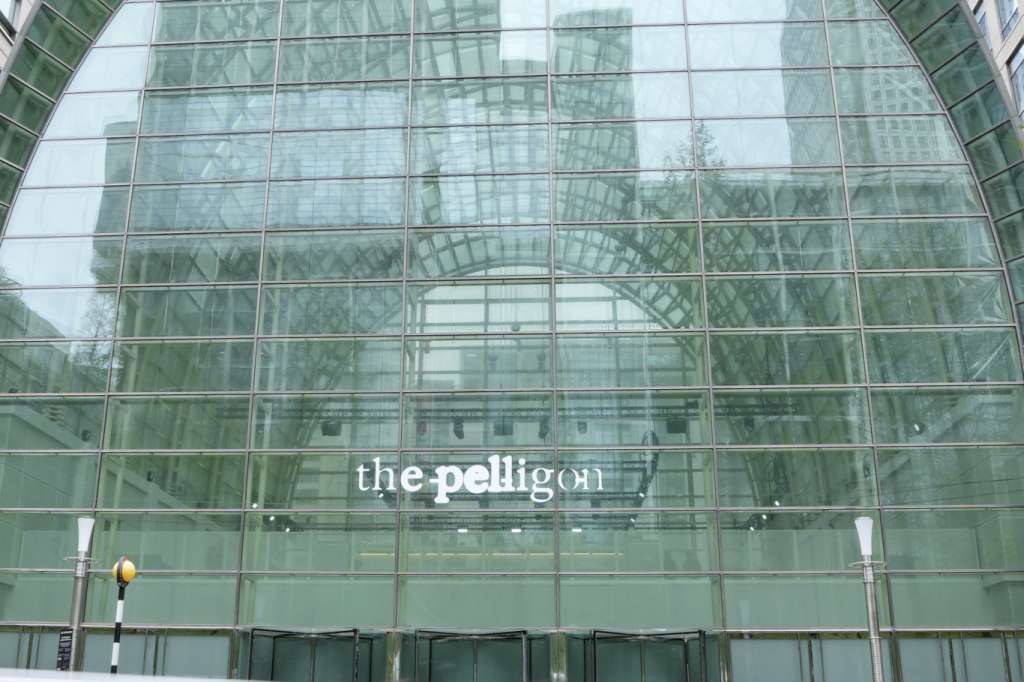 The Pelligon
