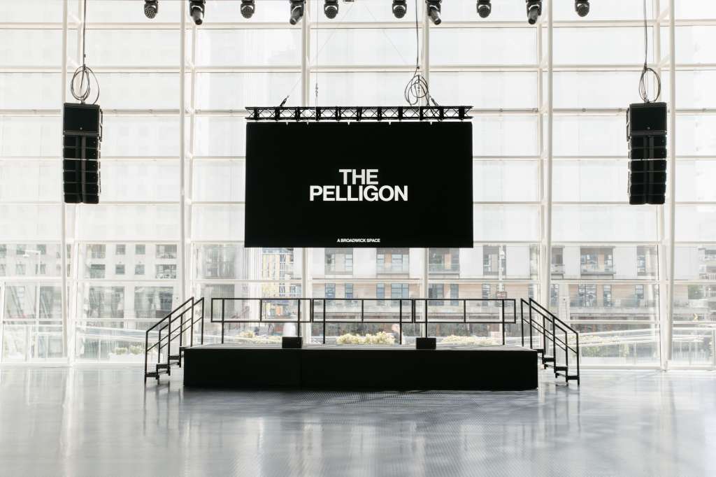The Pelligon