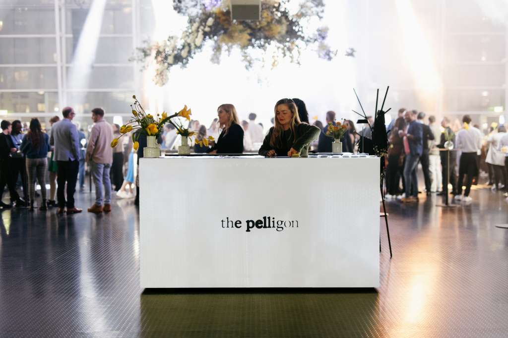 The Pelligon
