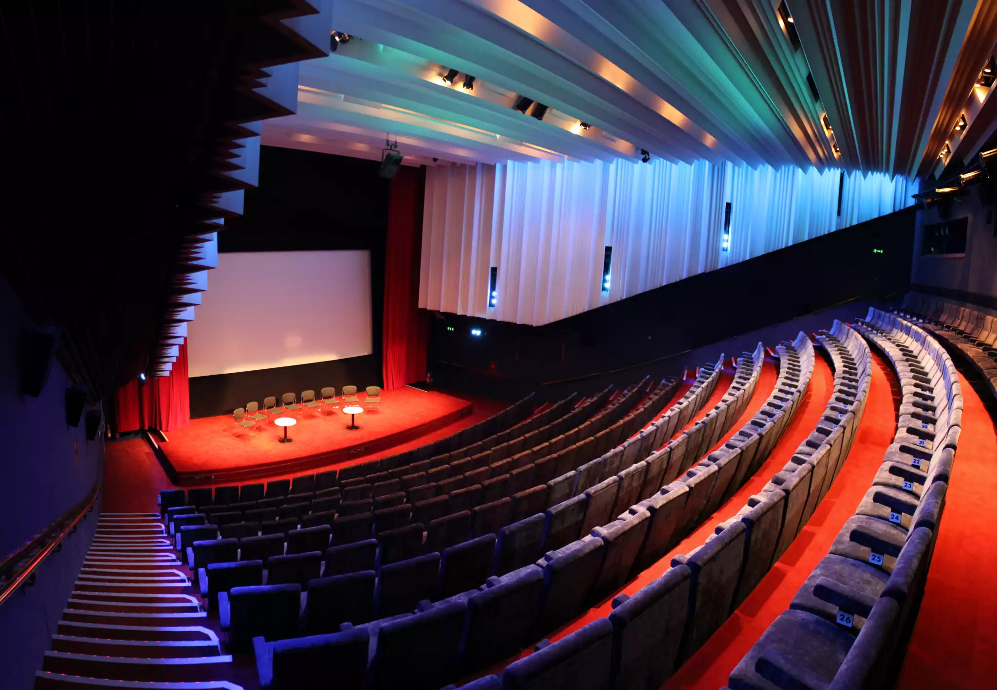 Cinema 1