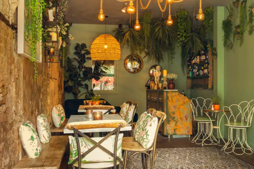 The Little Orange Door The Little Orange Door