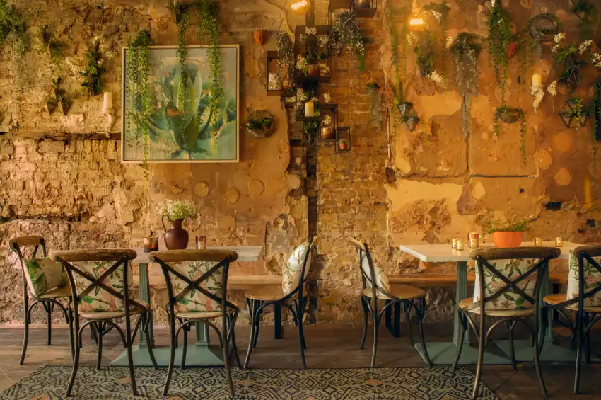 The Little Orange Door The Little Orange Door