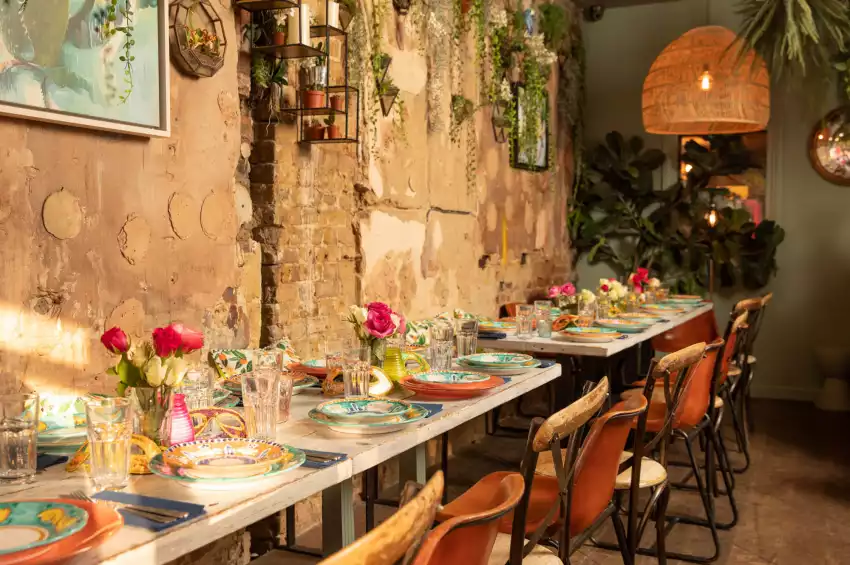 The Little Orange Door The Little Orange Door