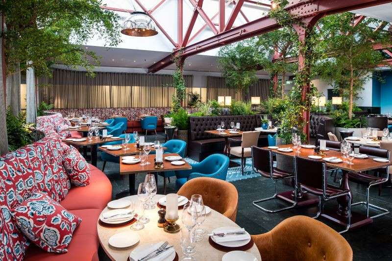 Bluebird Chelsea