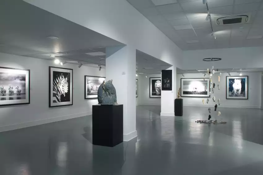 Miart Gallery 