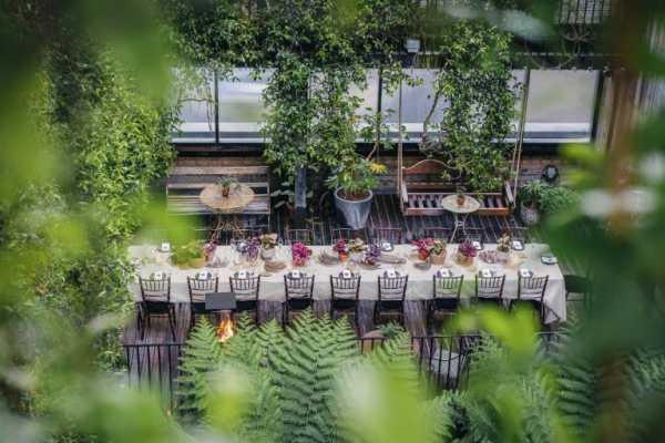 The Mandrake Jurema Terrace Event