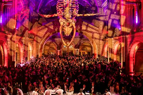 The Natural History Museum Christmas