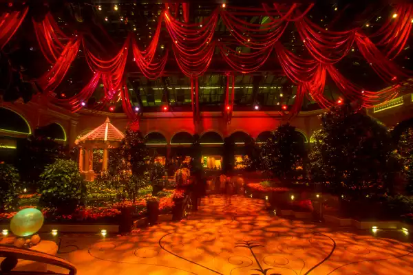 Traditional Christmas party