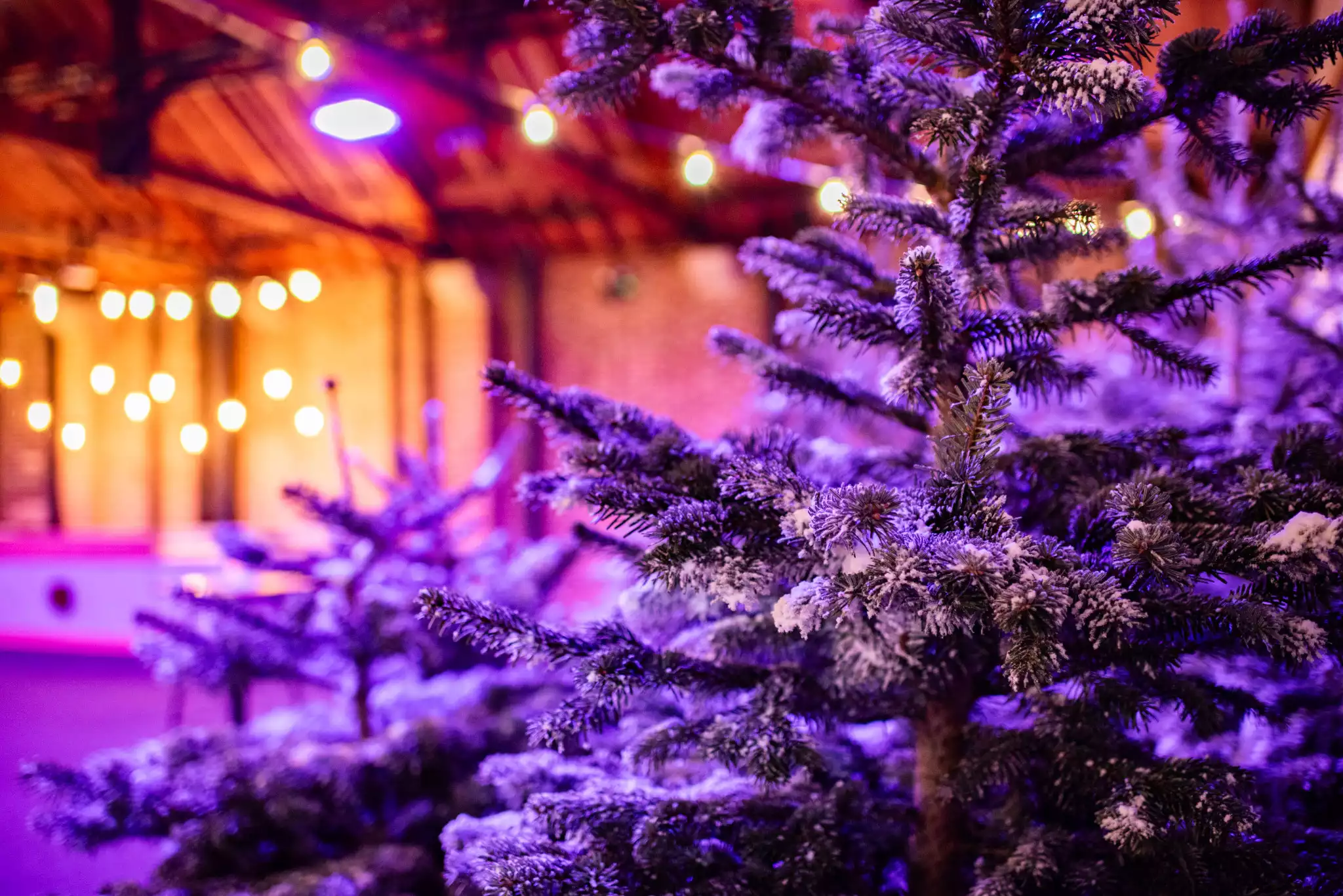 Christmas at Tobacco Dock