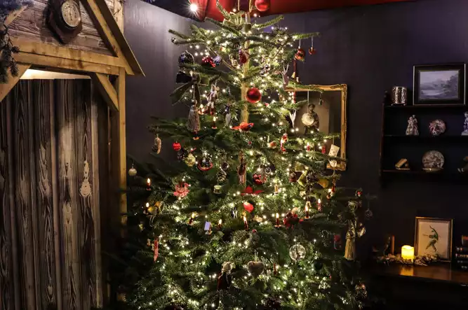 The Winters of The World 