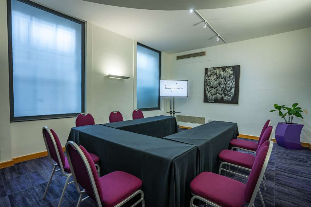 22 Duchess Mews - Cavendish Venues