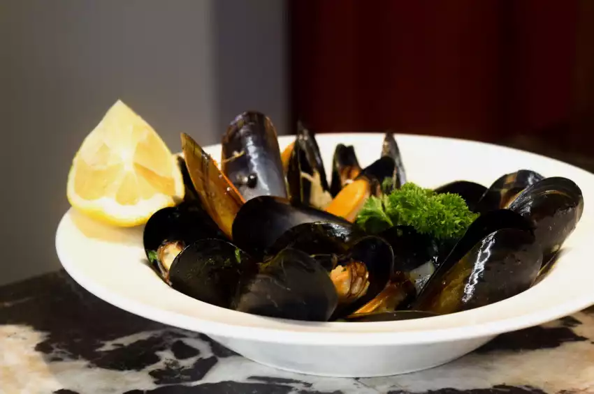 The Seashell of Lisson Grove 