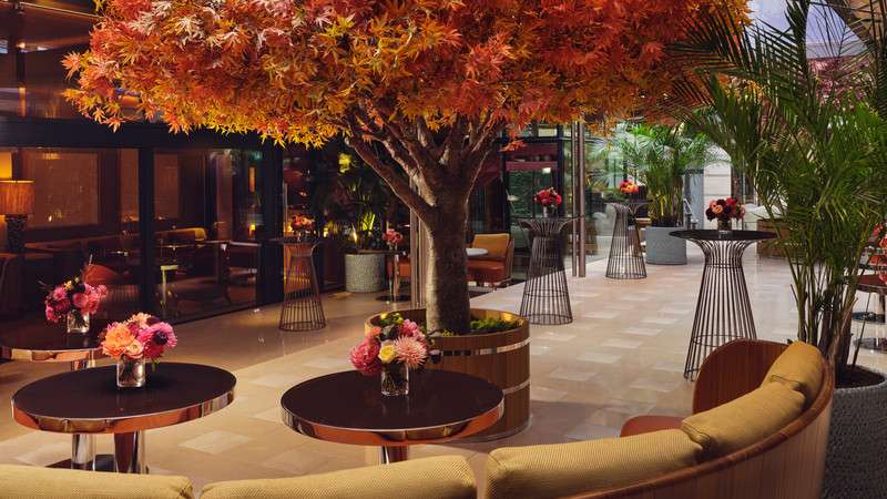 The Courtyard