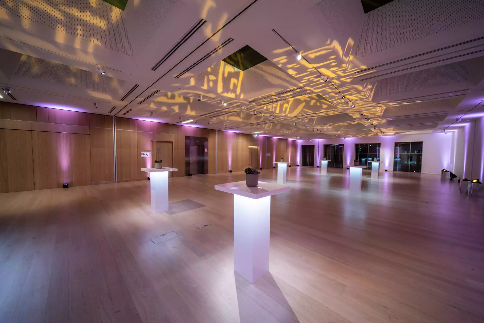 The Helene and Johannes Huth Gallery