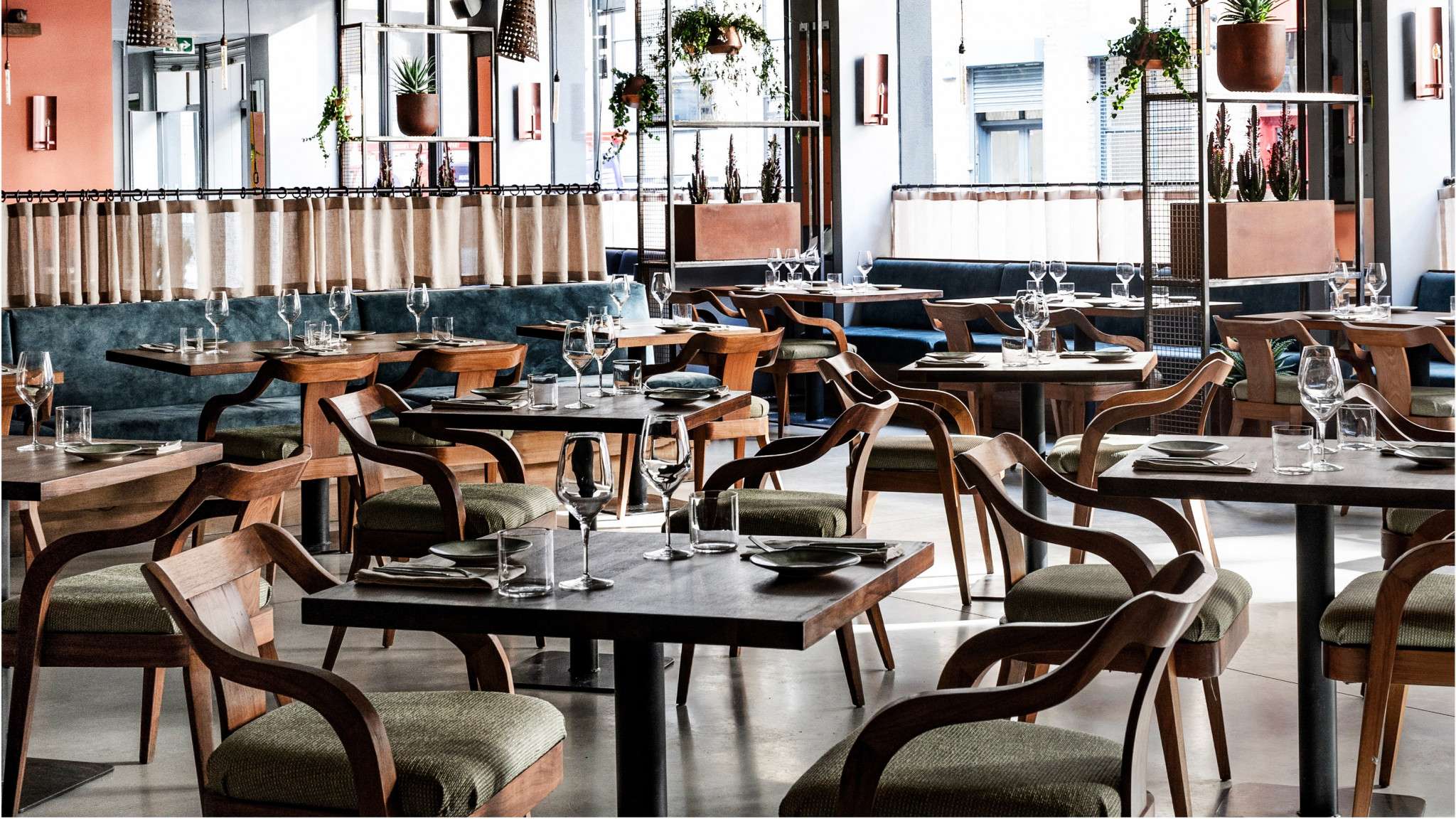 Exclusive Hire of Zapote