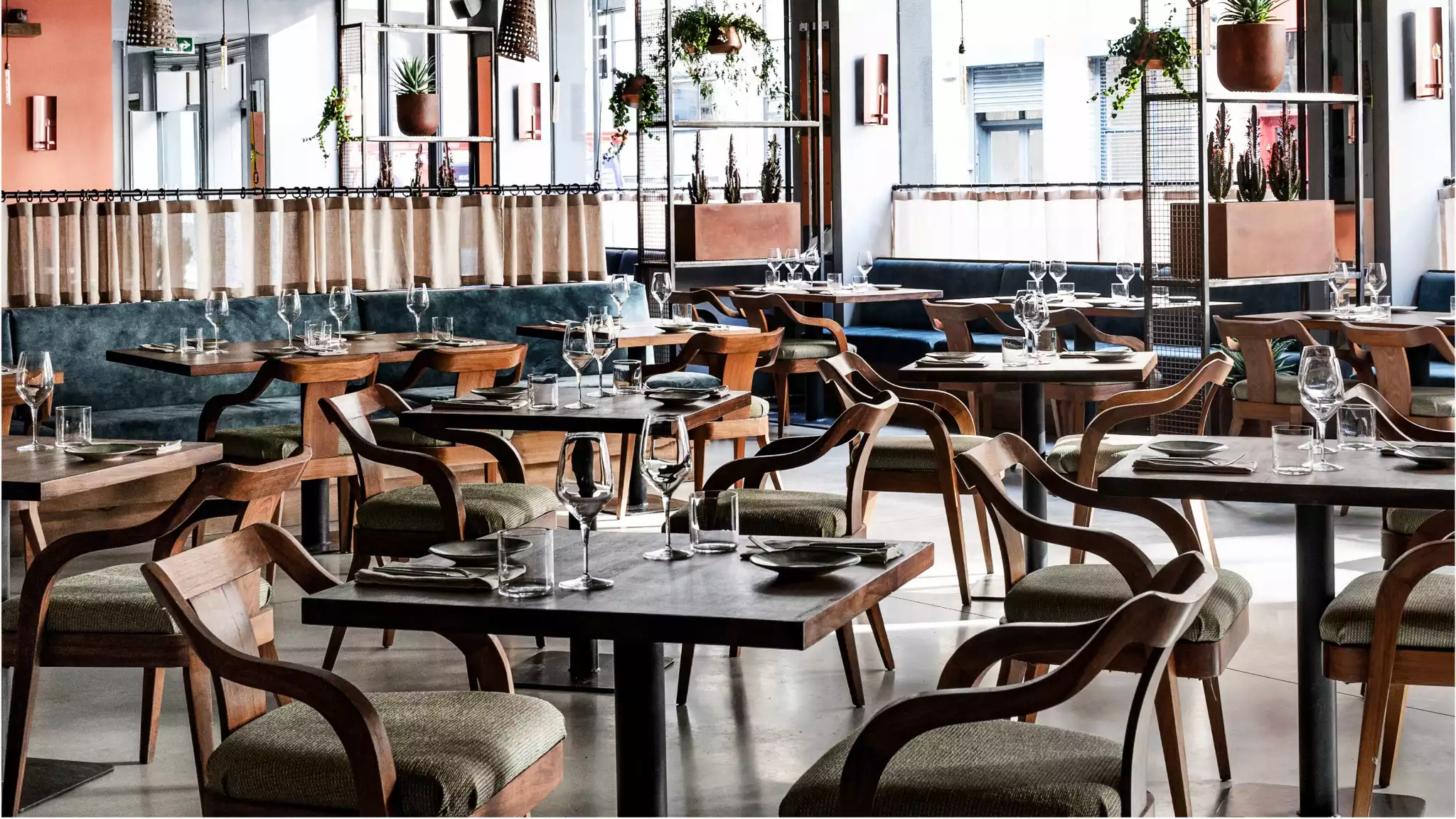 Exclusive Hire of Zapote